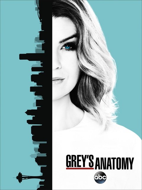 გრეის ანატომია  ქართულად / greis anatomia qartulad / Grey's Anatomy