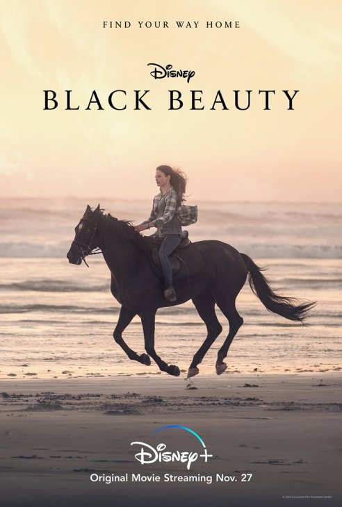 ველური, შავი ცხენი და თინეიჯერი გოგონა ქმნიან ურღვევ კავშირს, რომელიც მათ მთელი ცხოვრების განმავლობაში დააკავშირებს.
