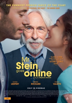 მისტერ შტაინი ინტერნეტს იპყრობს / mister shtaini internets ipyrobs / Mr. Stein Goes Online